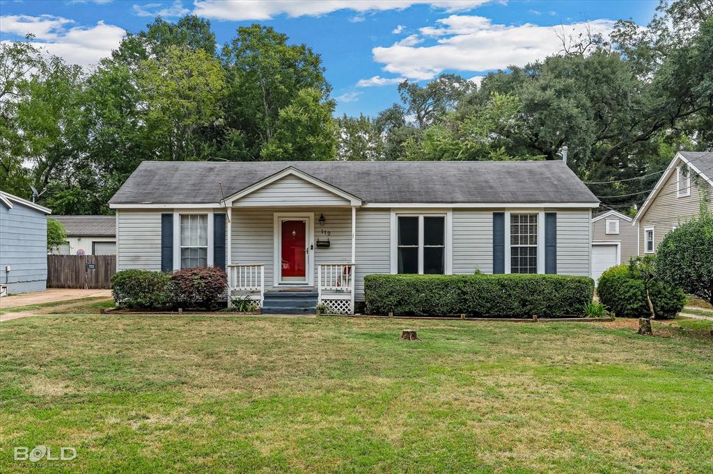 119 Albert Avenue Property Photo 1
