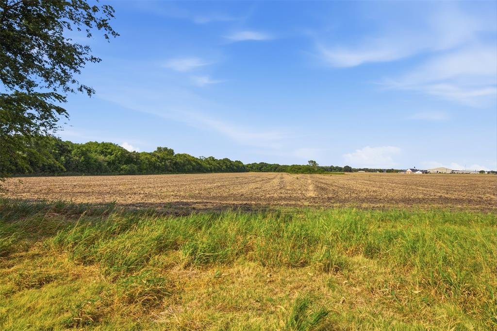 661 Fm 902 Property Photo 4