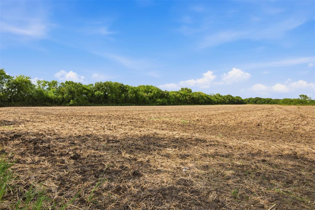 661 Fm 902 Property Photo 5