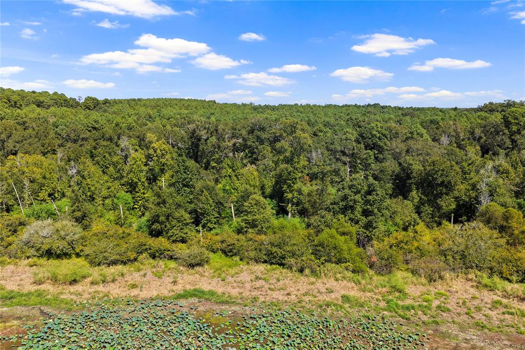 Tbd Willow Point Marina Rd Property Photo 16
