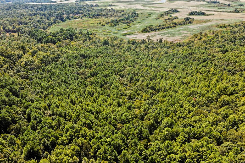 Tbd Willow Point Marina Rd Property Photo 18