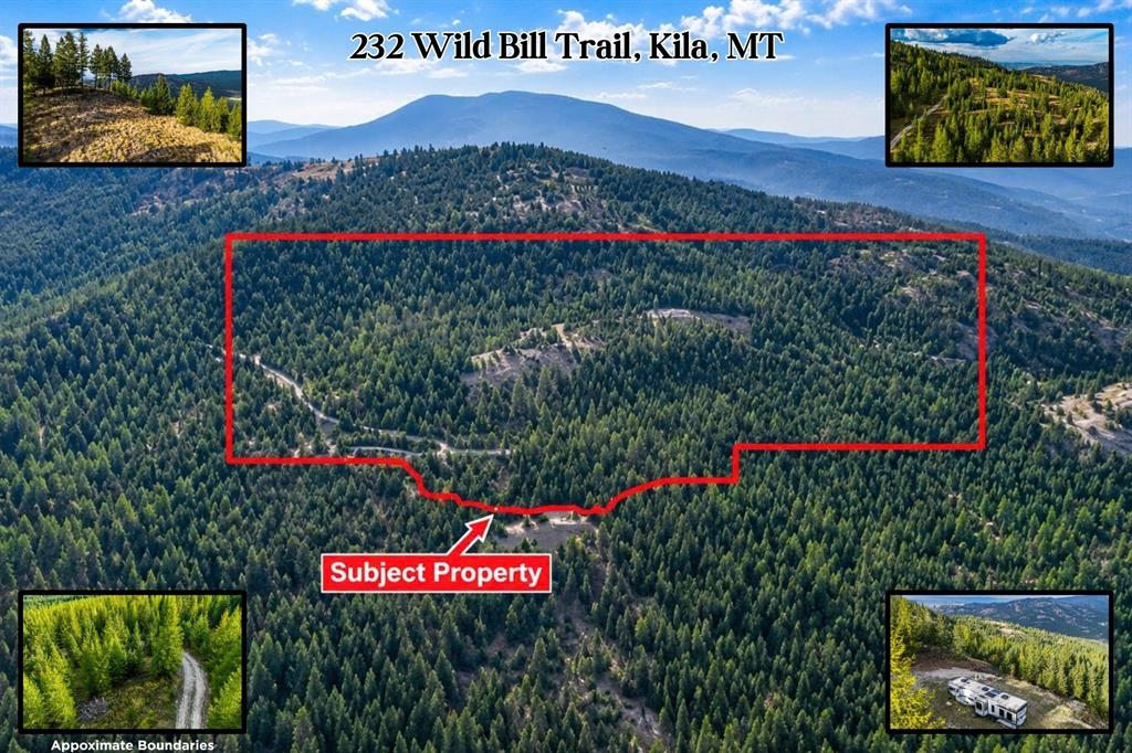 232 Wild Bill Trail