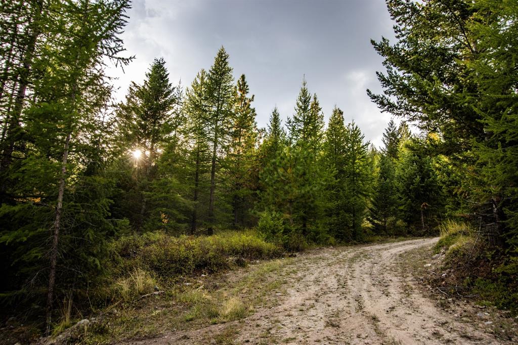 232 Wild Bill Trail Property Photo 8