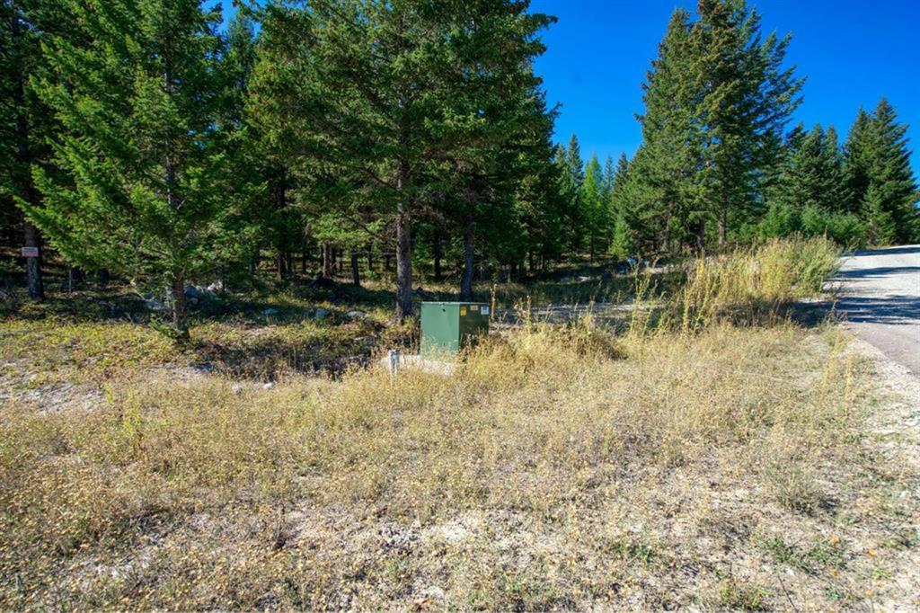232 Wild Bill Trail Property Photo 9