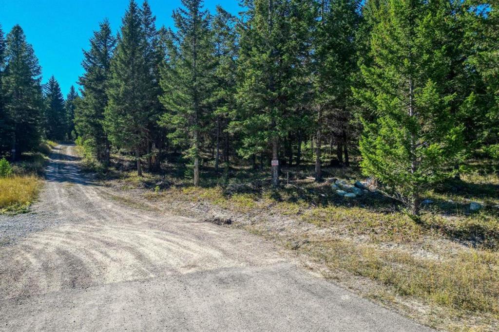 232 Wild Bill Trail Property Photo 11