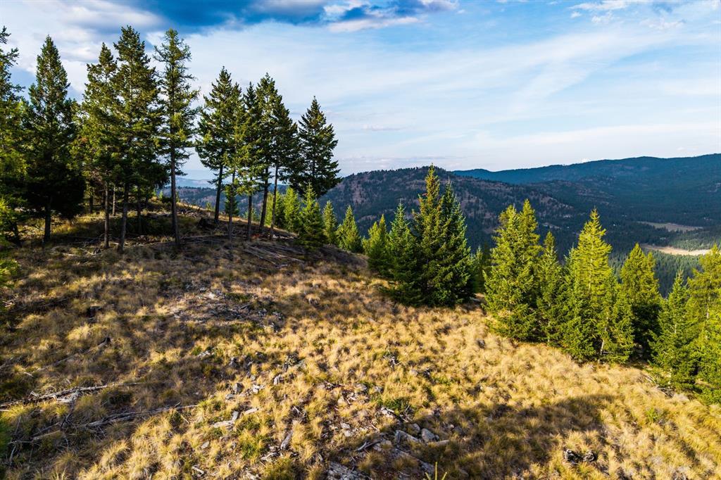 232 Wild Bill Trail Property Photo 27