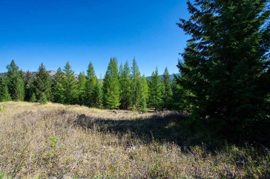 232 Wild Bill Trail Property Photo 28