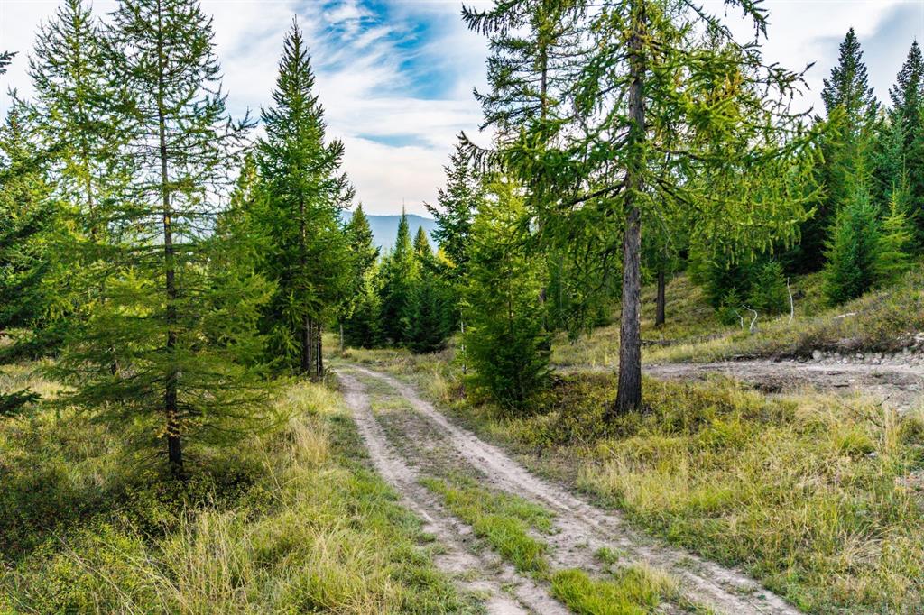 232 Wild Bill Trail Property Photo 29