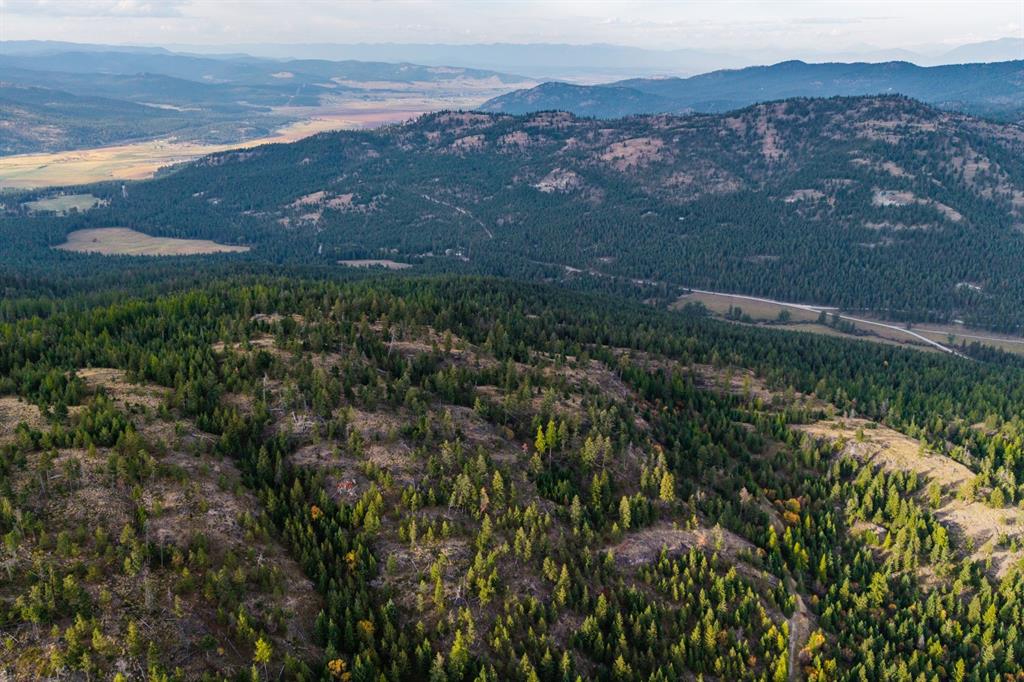 232 Wild Bill Trail Property Photo 33