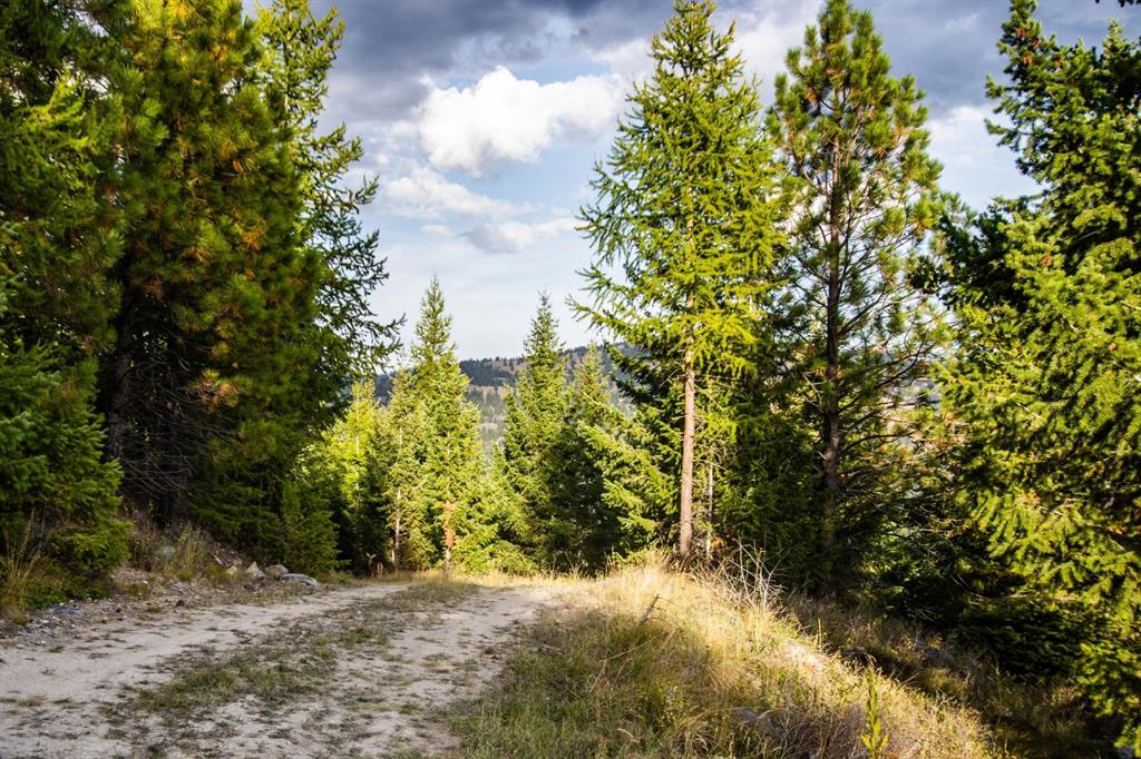 232 Wild Bill Trail Property Photo 34