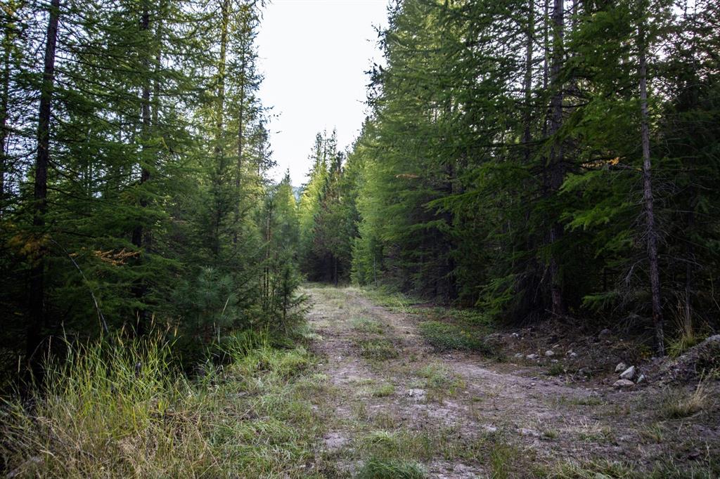 232 Wild Bill Trail Property Photo 35