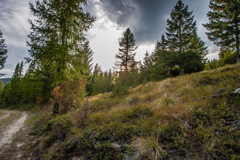 232 Wild Bill Trail Property Photo 36