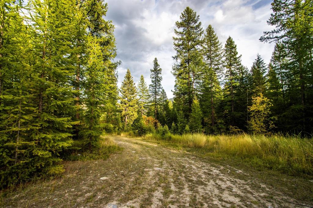 232 Wild Bill Trail Property Photo 37