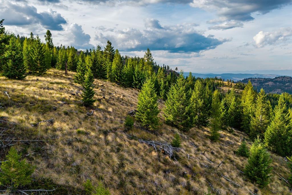 232 Wild Bill Trail Property Photo 38