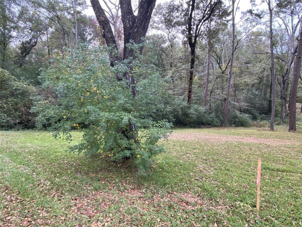 700 Hutchins Property Photo 1