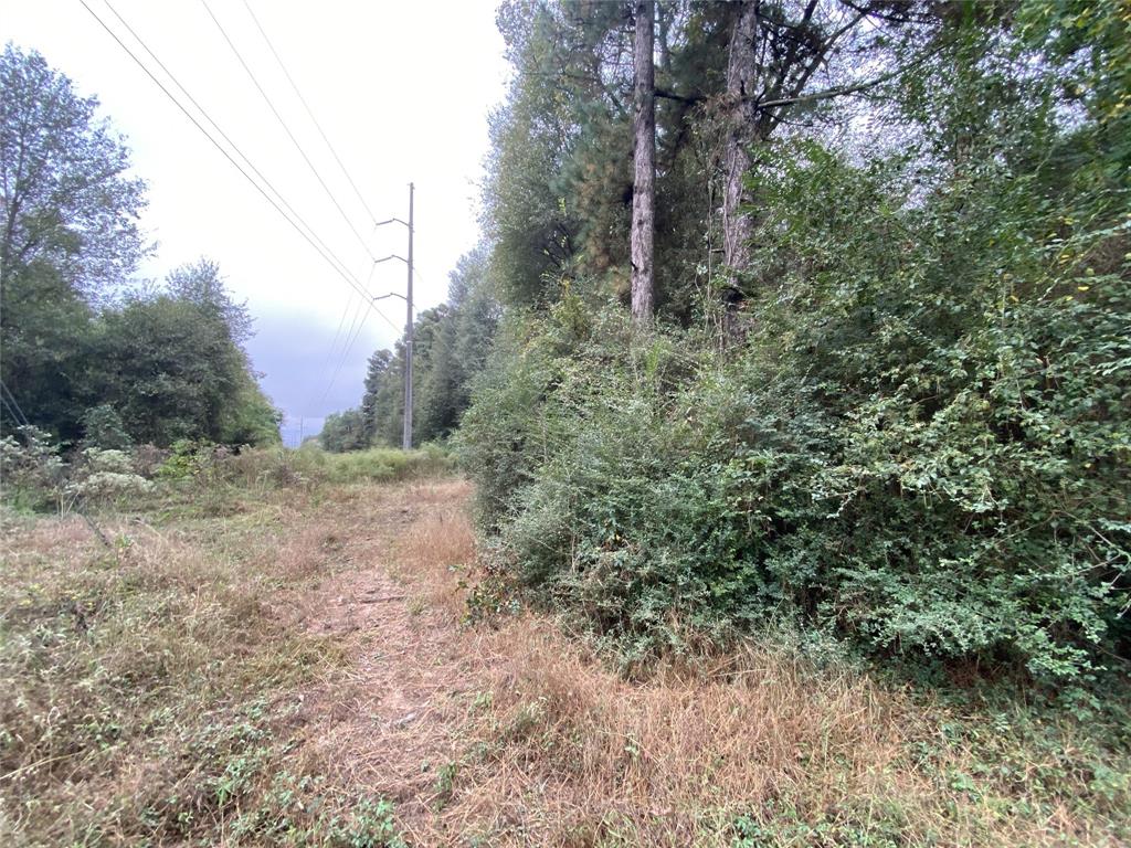 700 Hutchins Property Photo 4