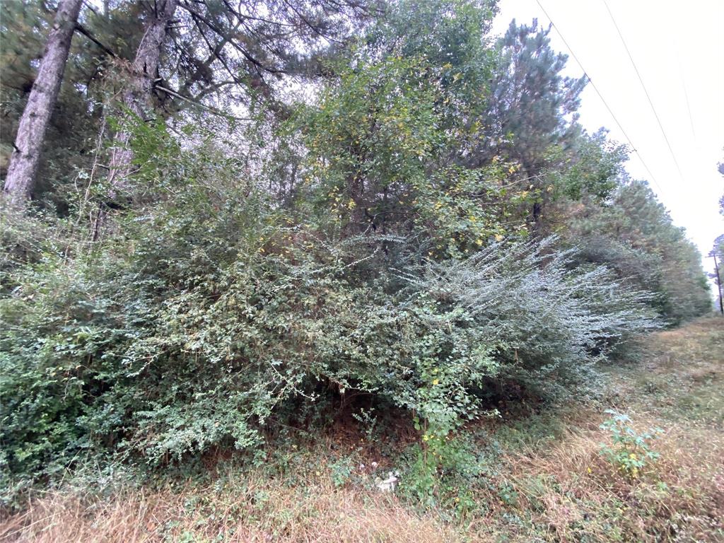 700 Hutchins Property Photo 5