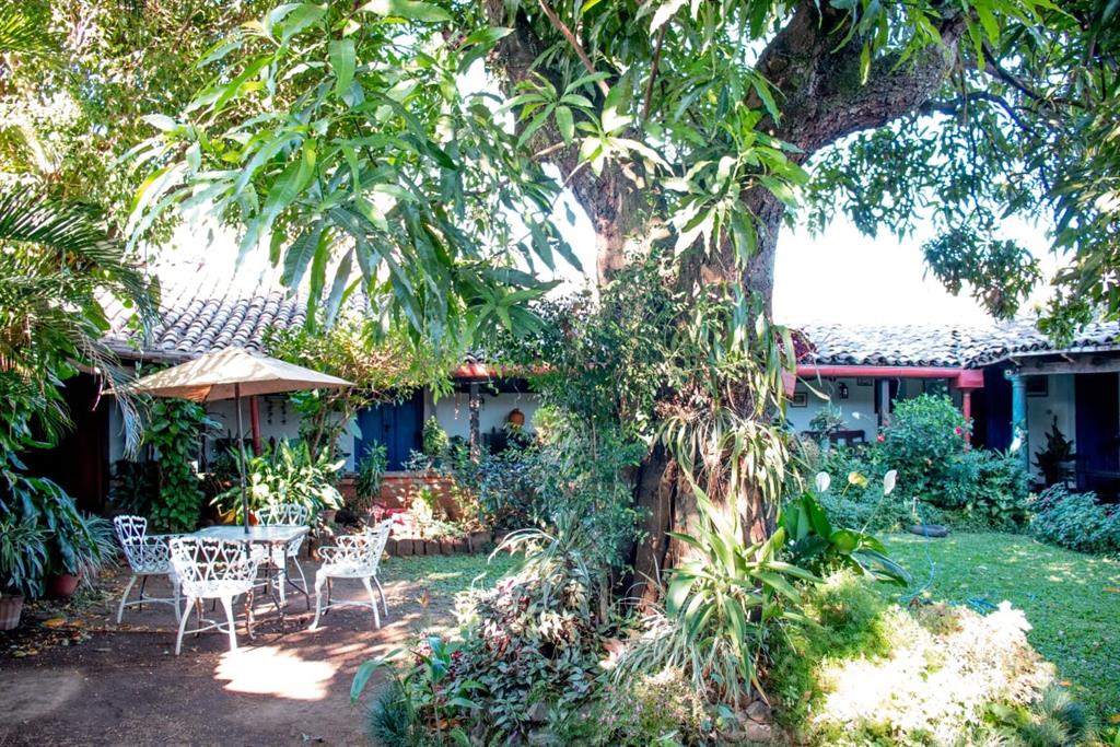 2 Avenida Norte Avenue Property Photo 6