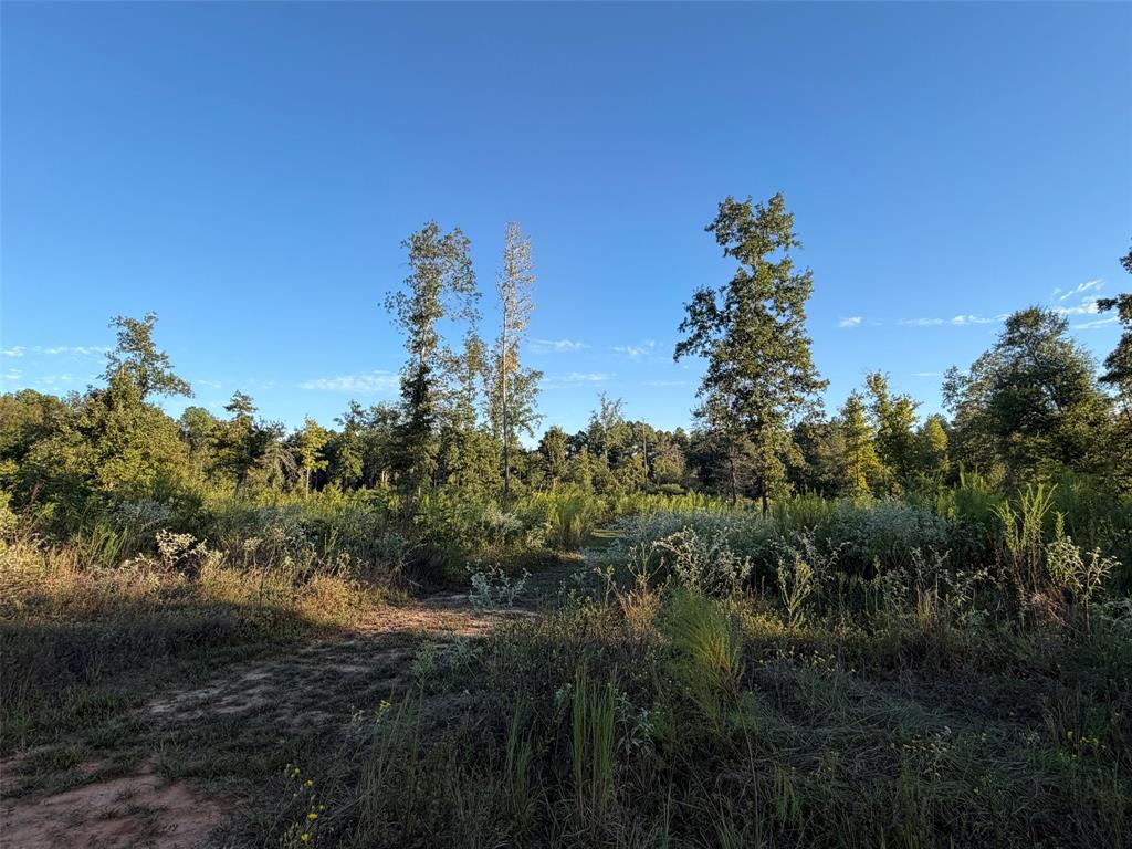 Lot 2 Bradleigh Boulevard Property Photo 2