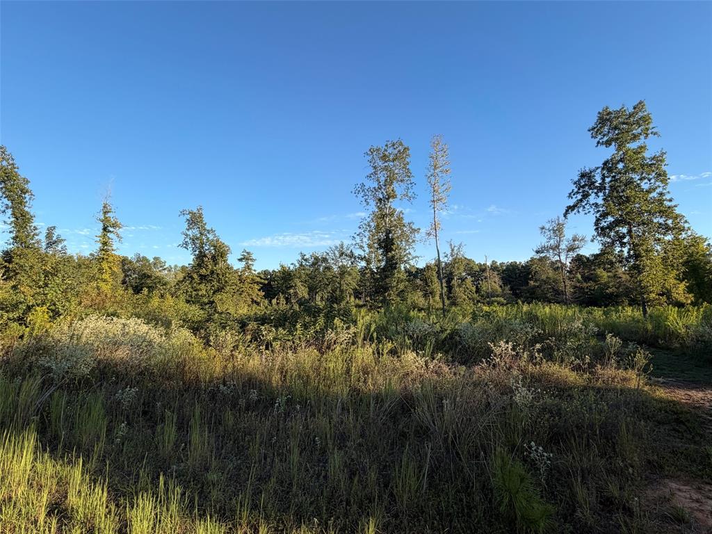 Lot 2 Bradleigh Boulevard Property Photo 3
