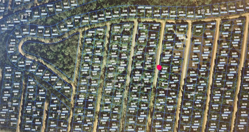 Tbd Sec 31, Blk 4, Lot 22 Eagle Pass St Property Photo 3