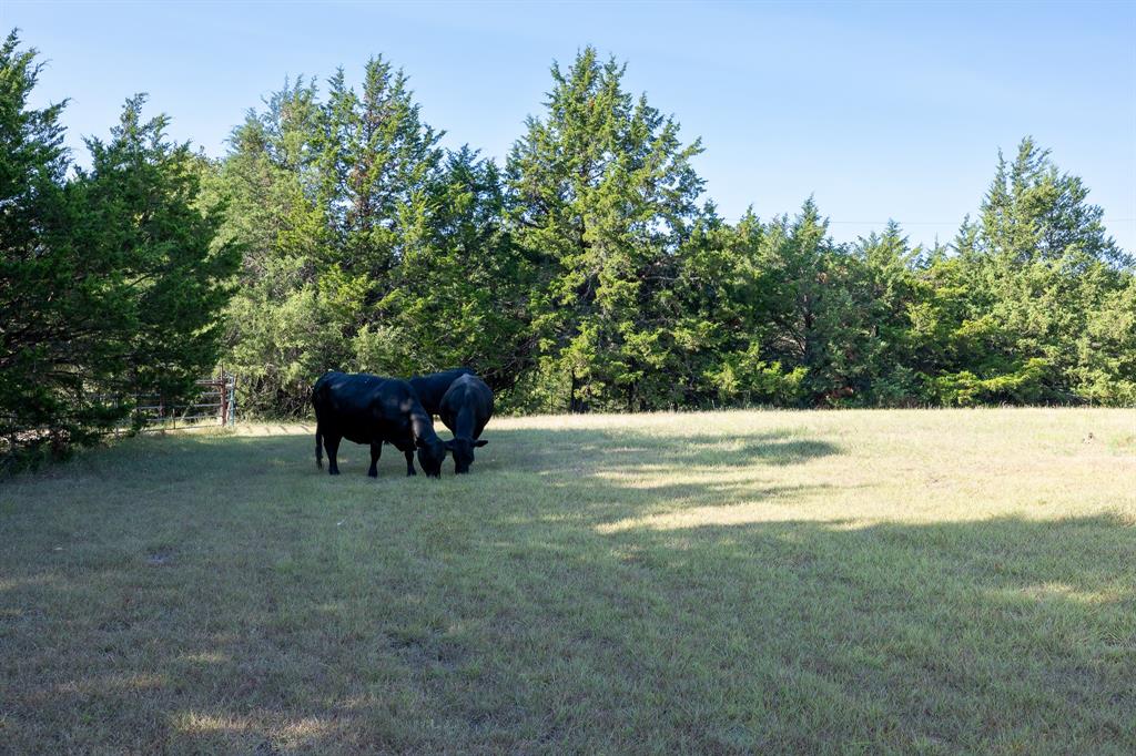 T.b.d. Richards Road Property Photo 6