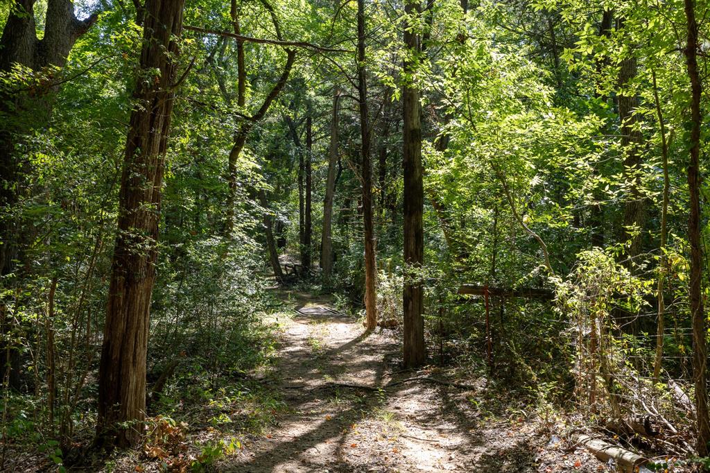 Tbd Richards Road Property Photo 10