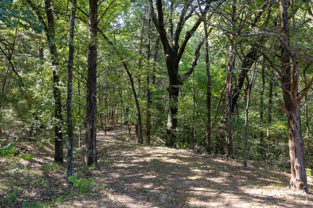 Tbd Richards Road Property Photo 11