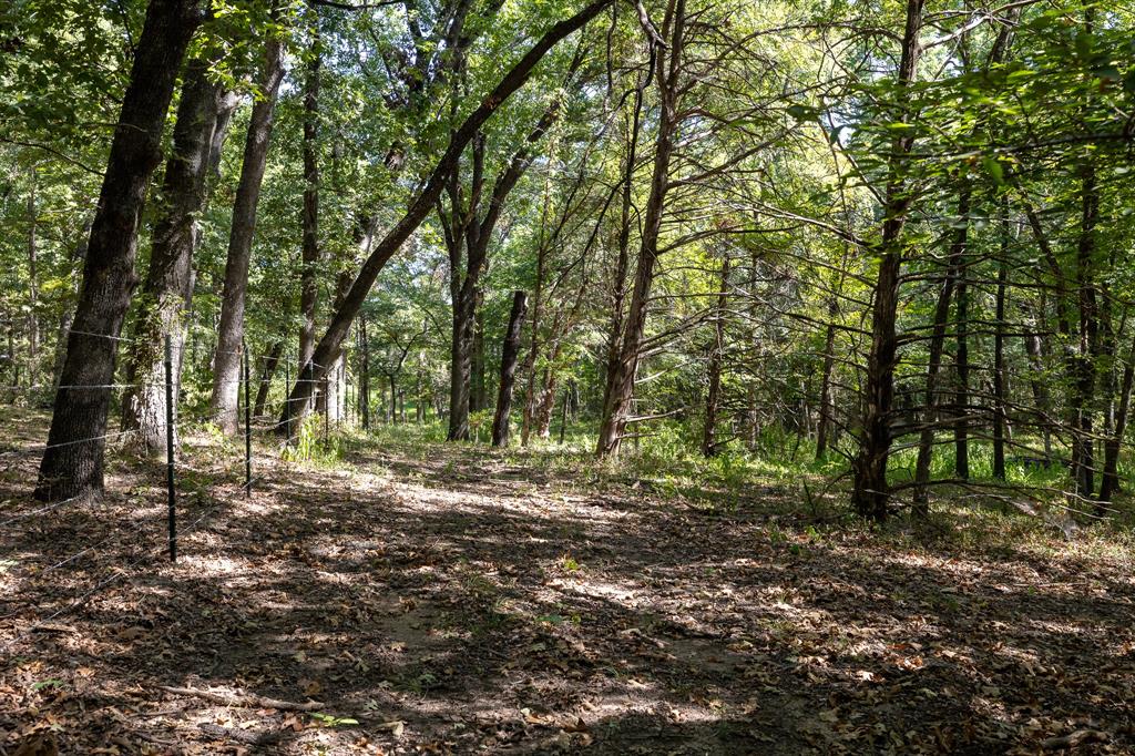 Tbd Richards Road Property Photo 12