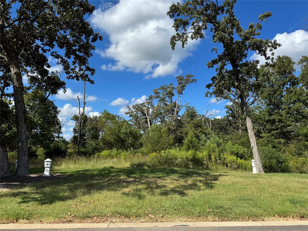 50 Cr 3227 Lot 3 Property Photo 19