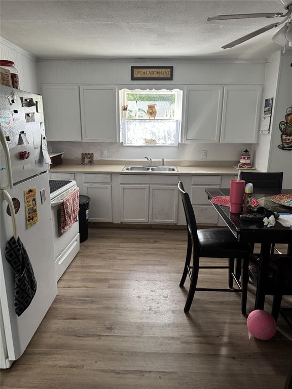 4527 Fm 219 Property Photo 18