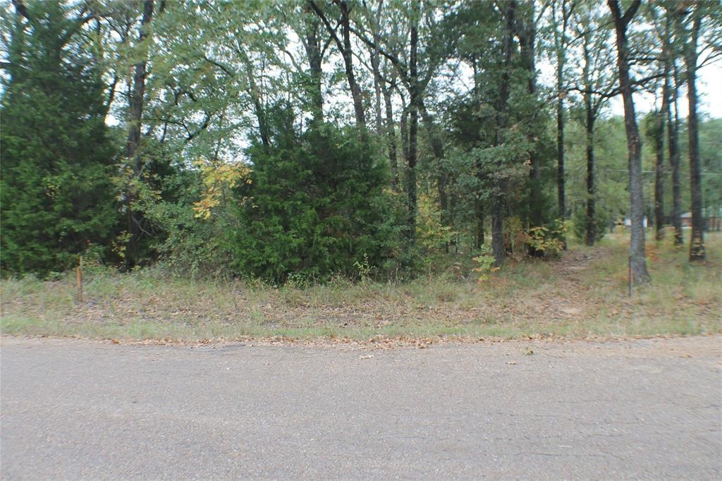 0 Inca Drive Property Photo 2
