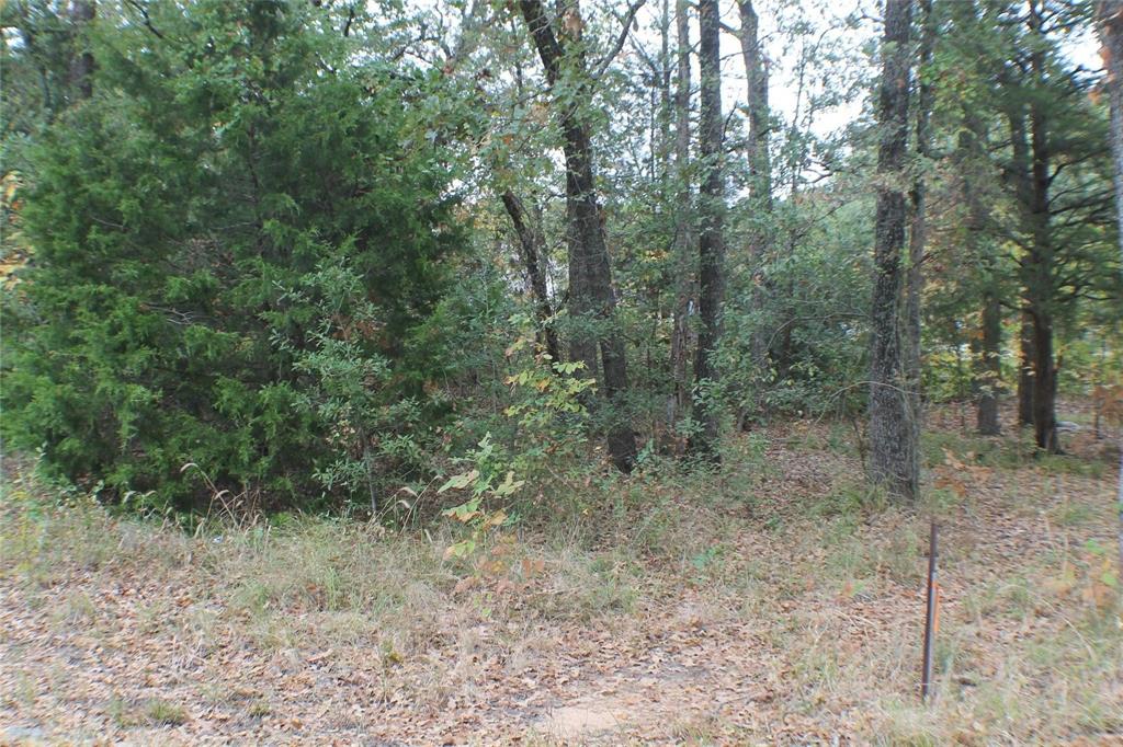 0 Inca Drive Property Photo 3