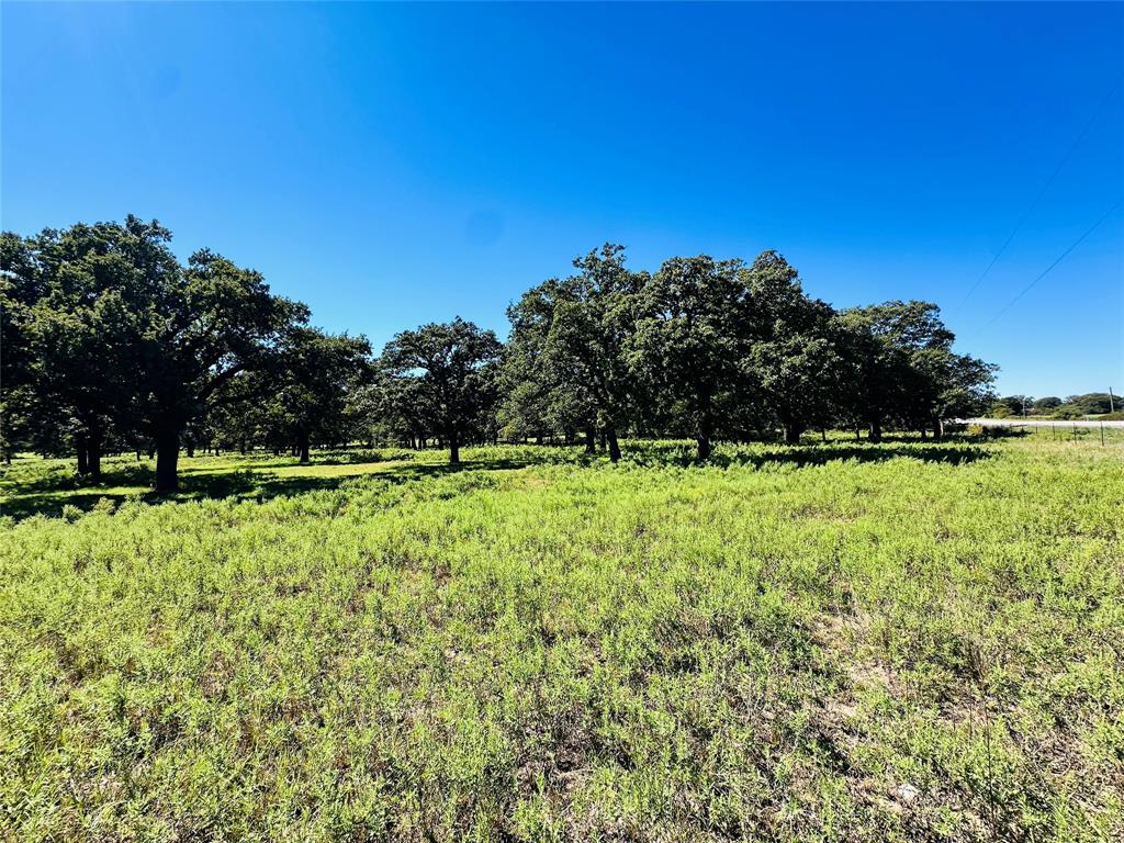 8593 State Highway 36 Property Photo 4