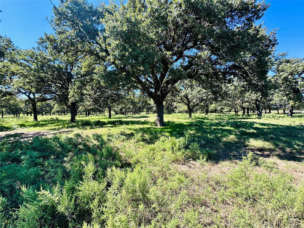 8593 State Highway 36 Property Photo 5