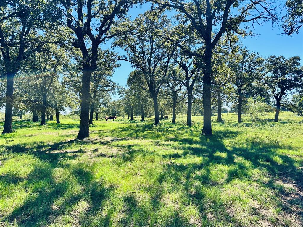 8593 State Highway 36 Property Photo 8