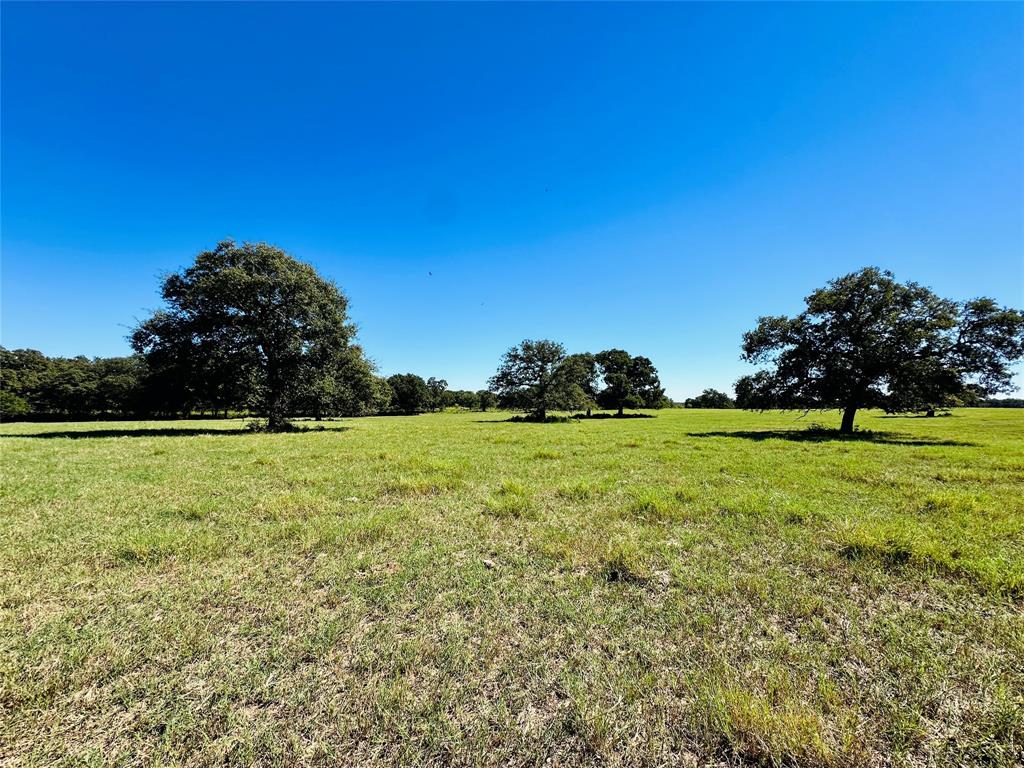 8593 State Highway 36 Property Photo 9