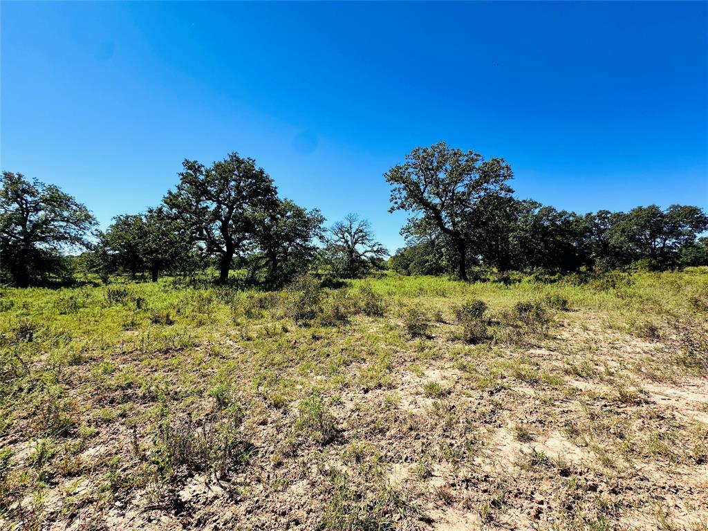 8593 State Highway 36 Property Photo 22