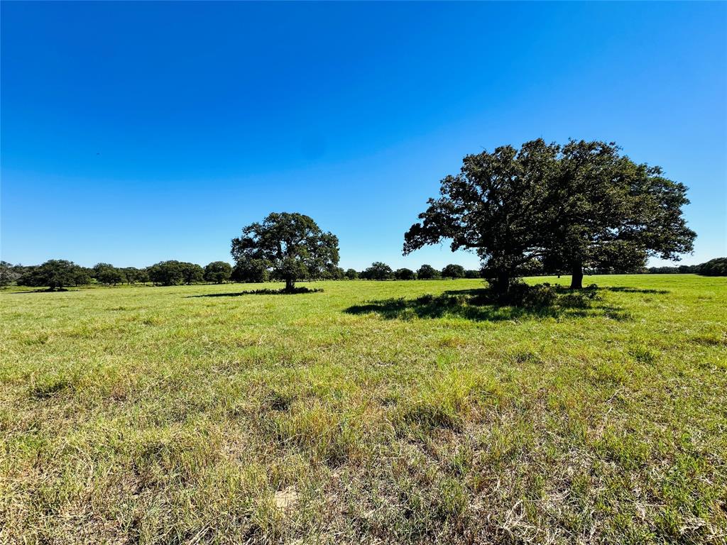 8593 State Highway 36 Property Photo 25