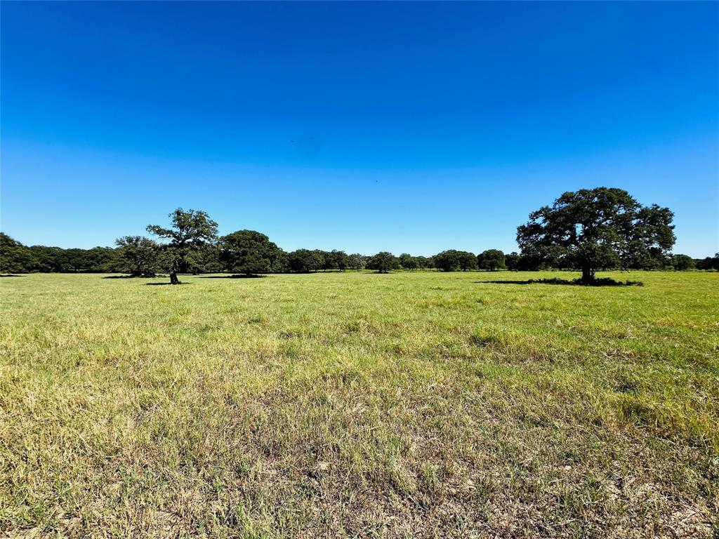 8593 State Highway 36 Property Photo 27