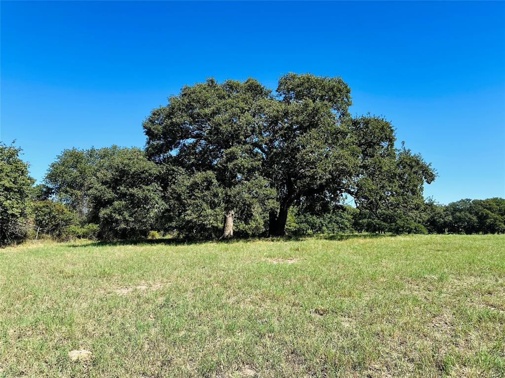 8593 State Highway 36 Property Photo 29