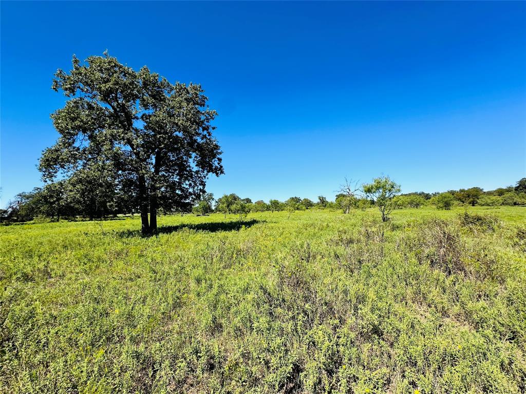 8593 State Highway 36 Property Photo 33