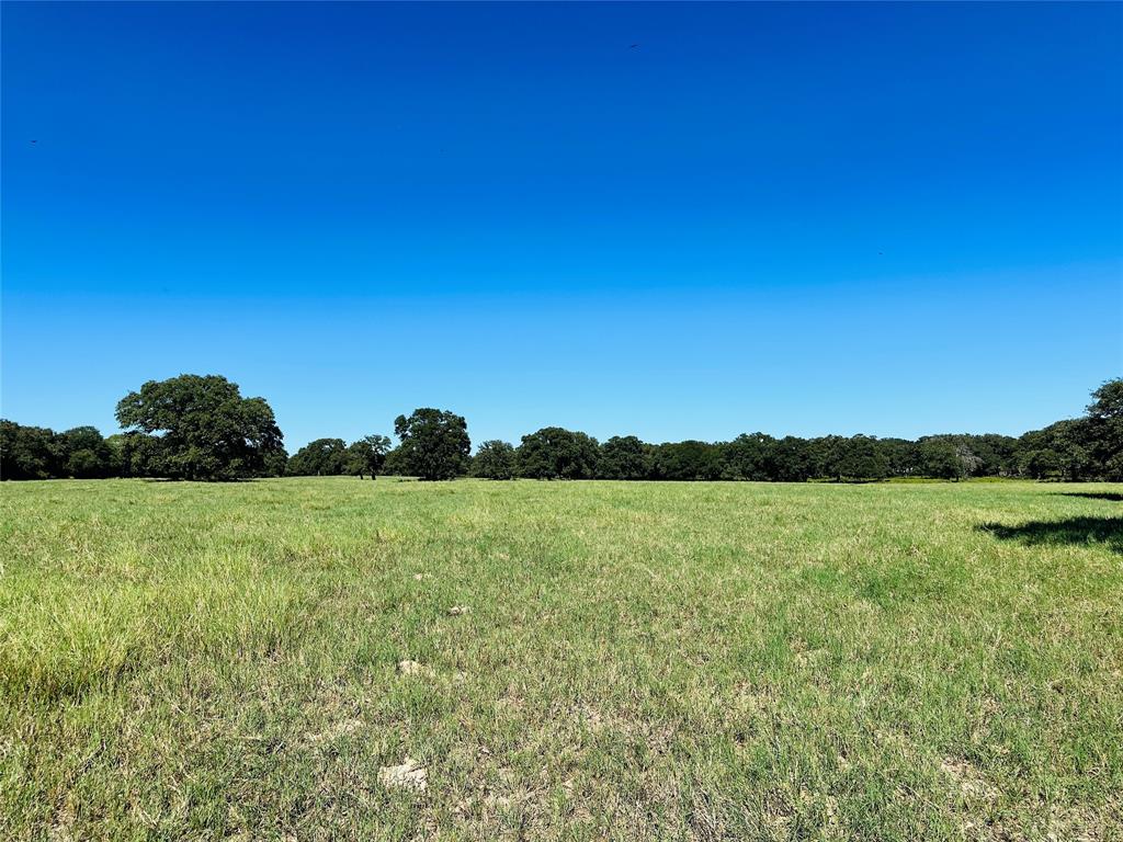8593 State Highway 36 Property Photo 34