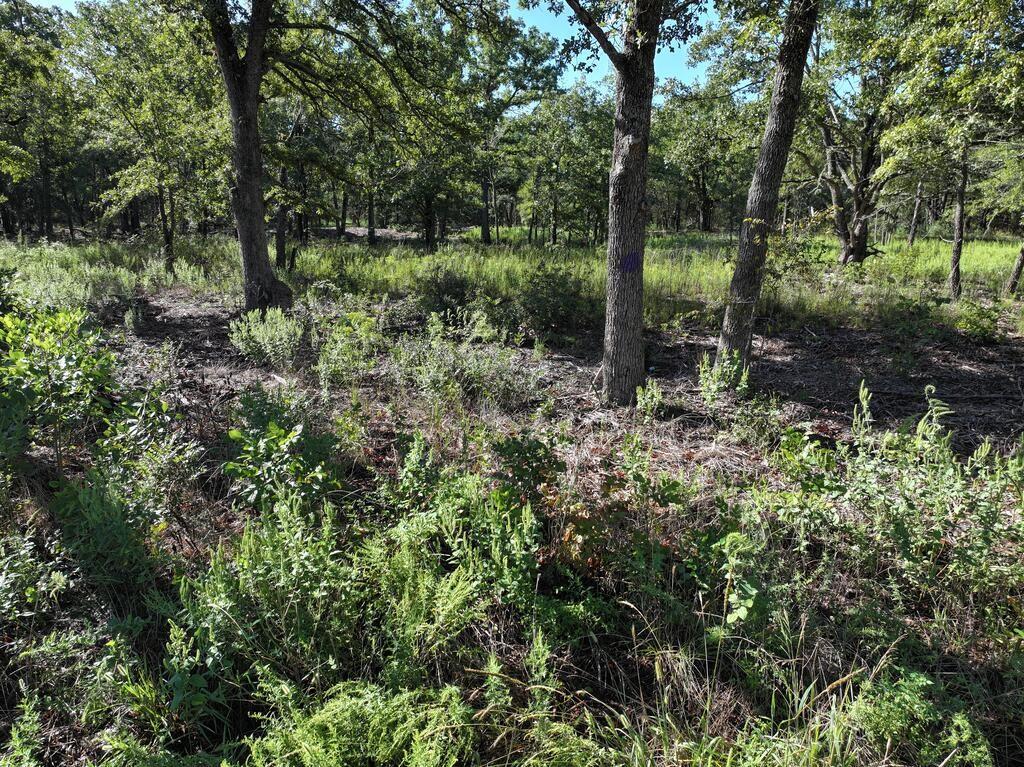 8602 Cr 2448 Property Photo 5