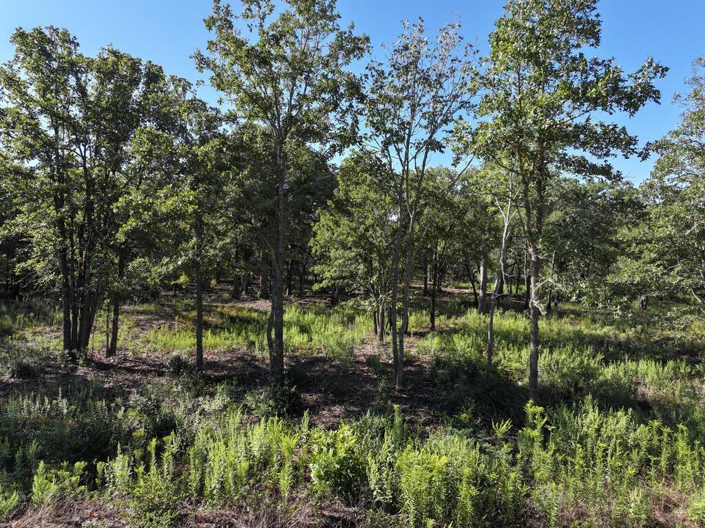 8602 Cr 2448 Property Photo 6