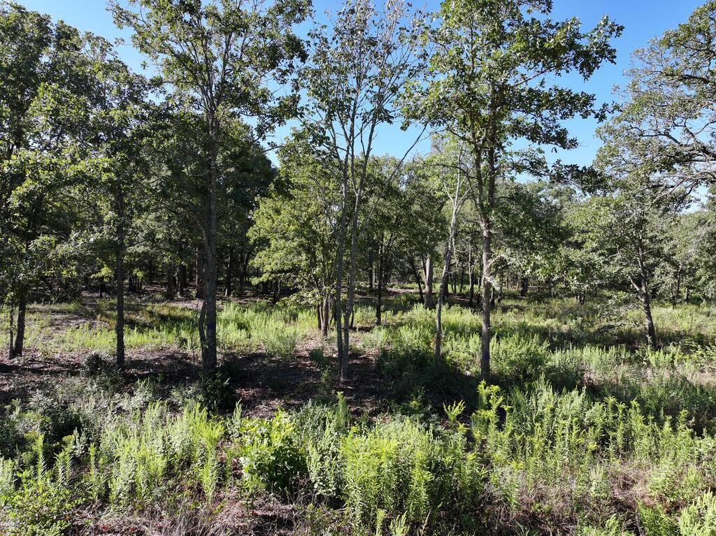 8602 Cr 2448 Property Photo 7