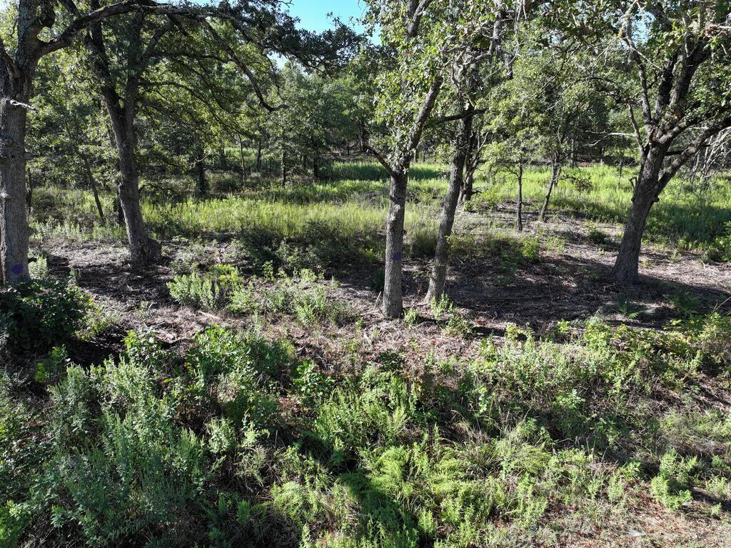 8602 Cr 2448 Property Photo 9