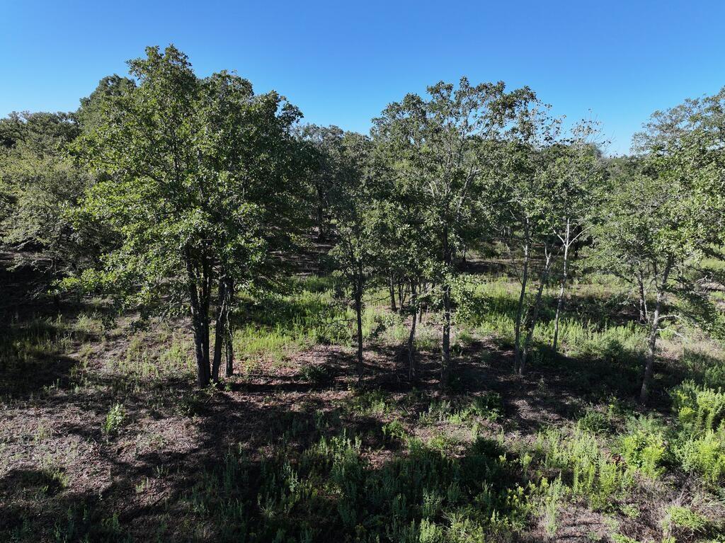 8602 Cr 2448 Property Photo 10