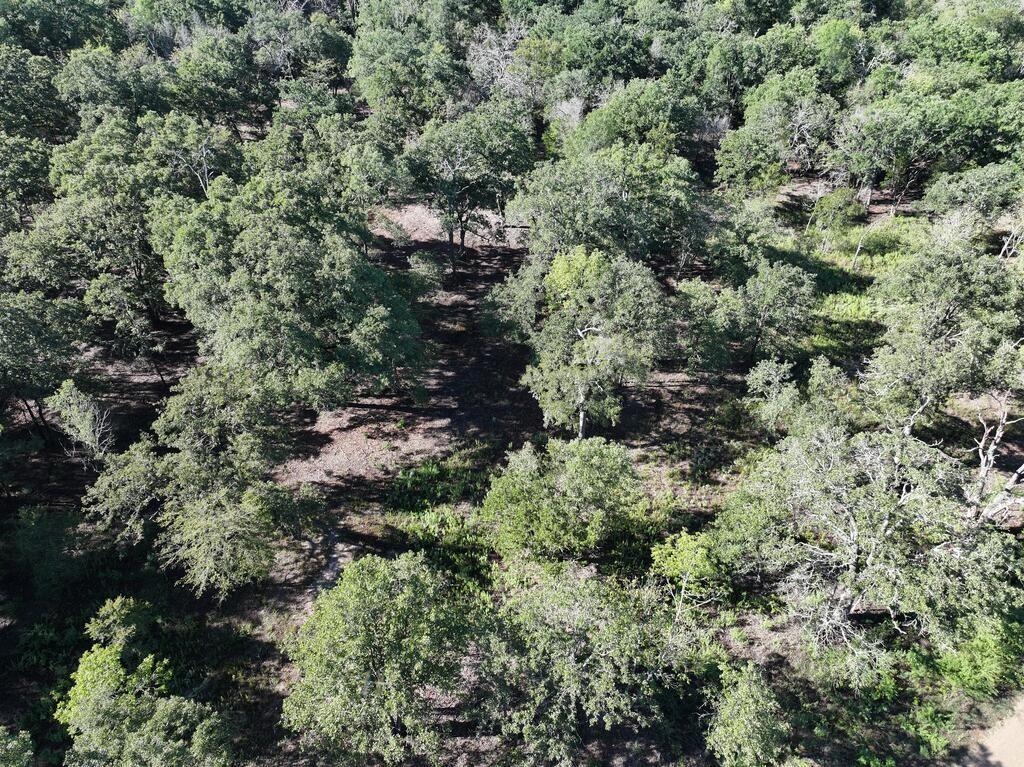 8602 Cr 2448 Property Photo 11