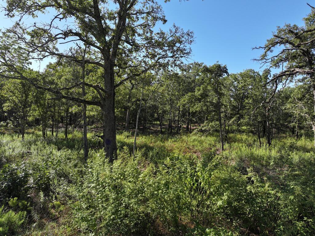 8602 Cr 2448 Property Photo 12